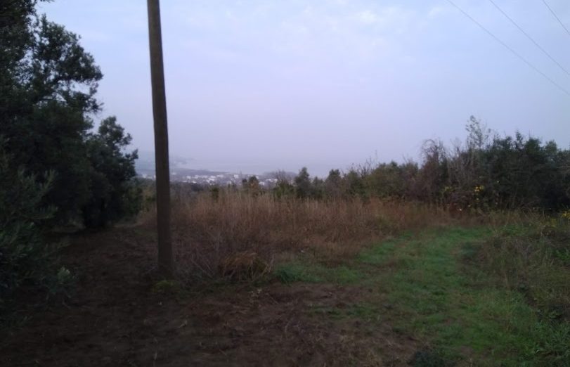 Mudanya Esence Deniz Manzaralı Satılık Zeytinlik